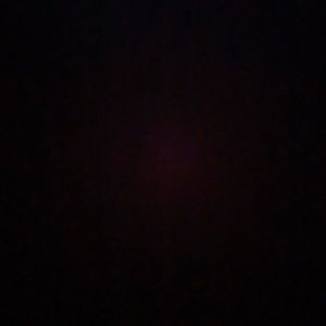 Meet your Posher, Dalia